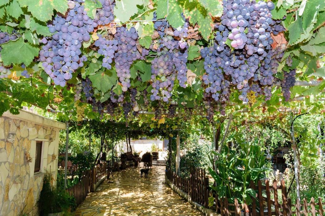 Dimitris'S Country House Agia  ภายนอก รูปภาพ
