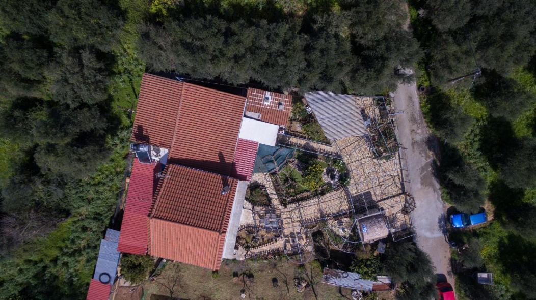 Dimitris'S Country House Agia  ภายนอก รูปภาพ