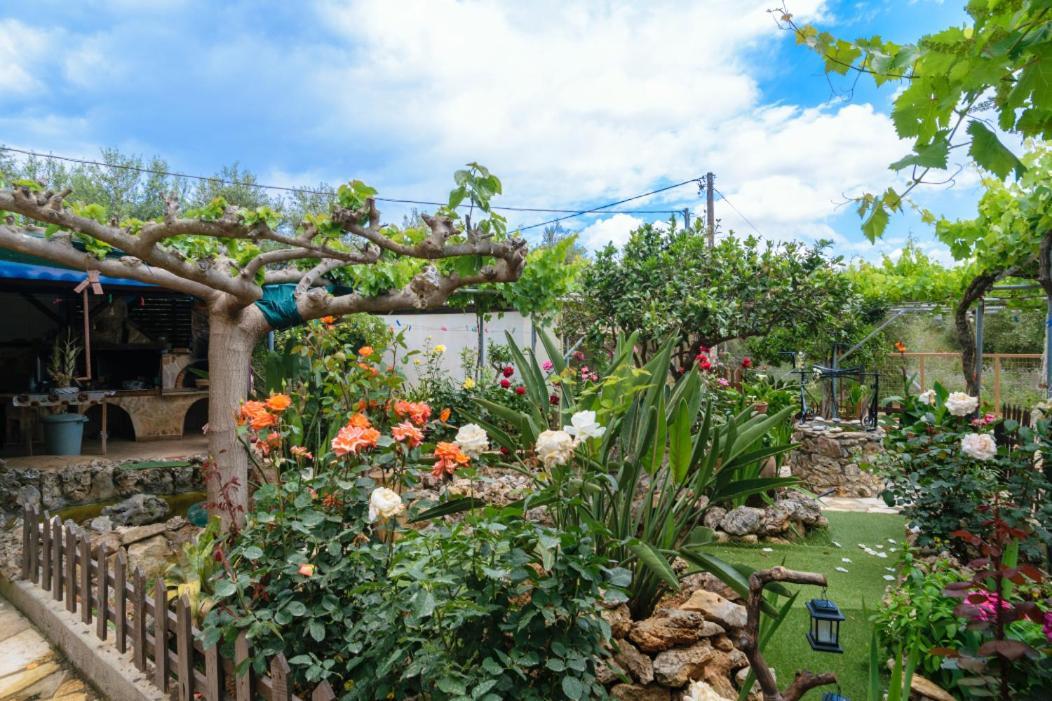 Dimitris'S Country House Agia  ภายนอก รูปภาพ
