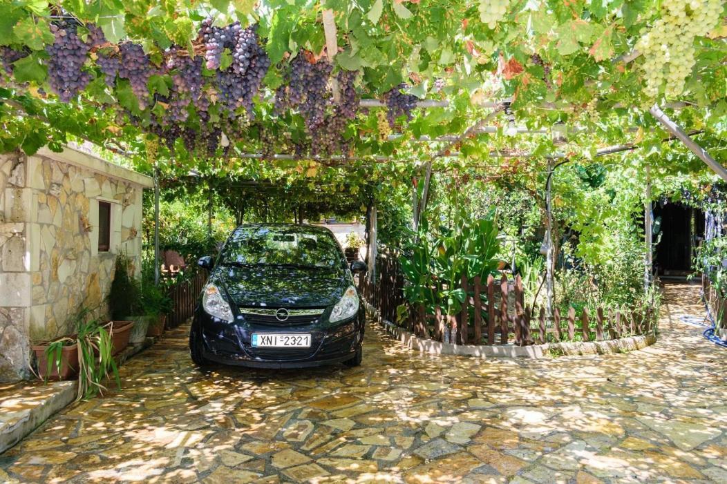 Dimitris'S Country House Agia  ภายนอก รูปภาพ