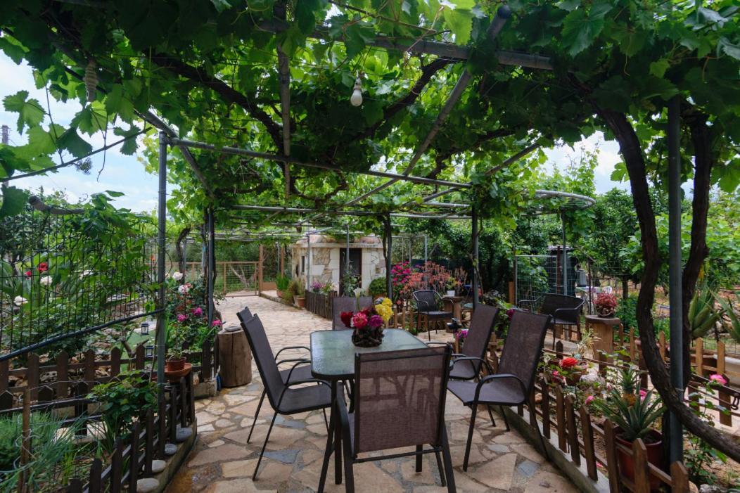 Dimitris'S Country House Agia  ภายนอก รูปภาพ