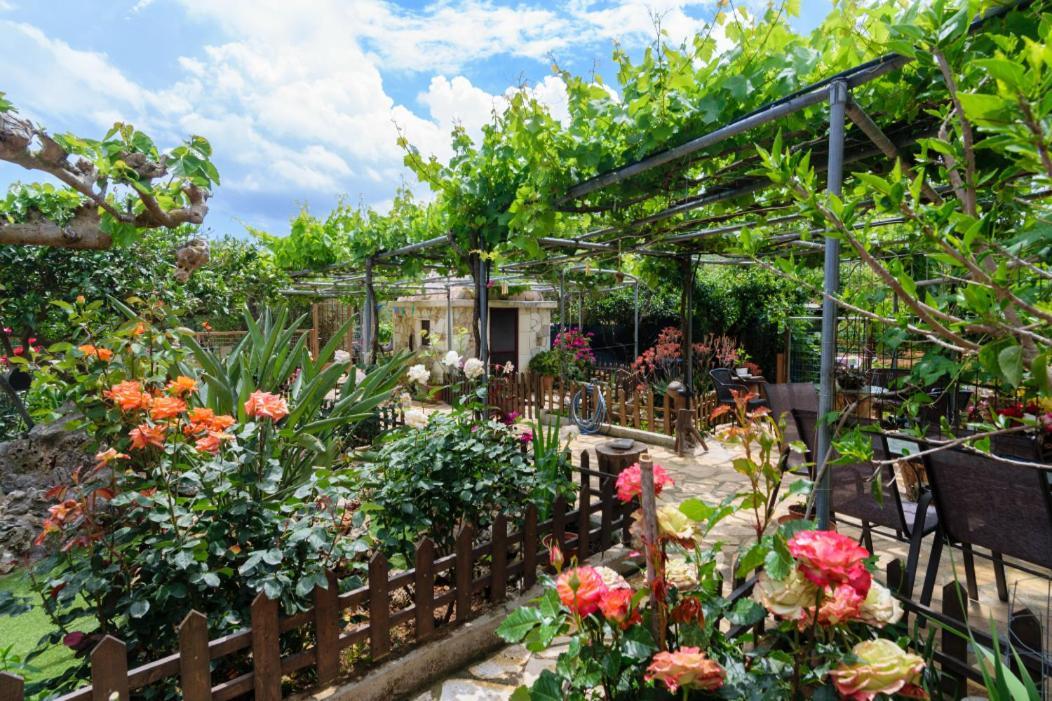Dimitris'S Country House Agia  ภายนอก รูปภาพ