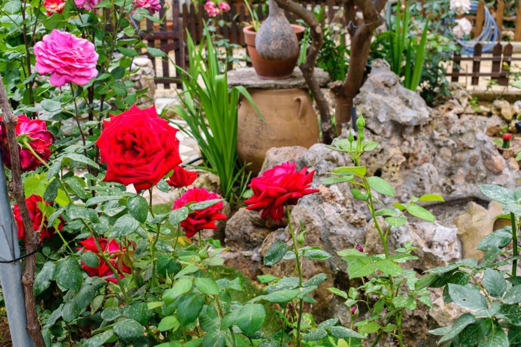 Dimitris'S Country House Agia  ภายนอก รูปภาพ