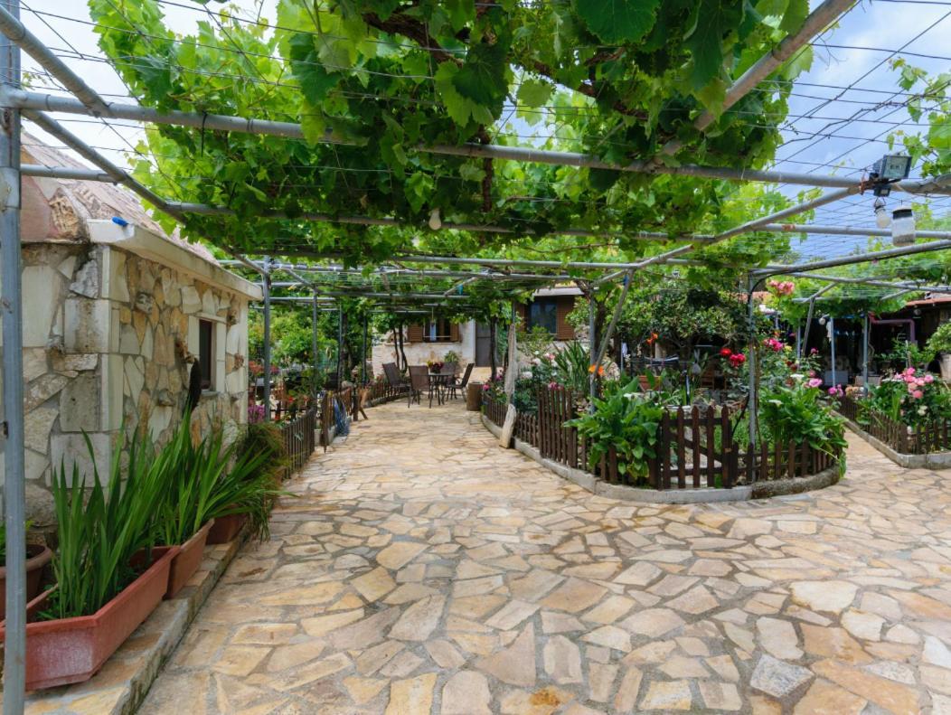 Dimitris'S Country House Agia  ภายนอก รูปภาพ